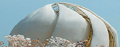 Baha'i Temple South America